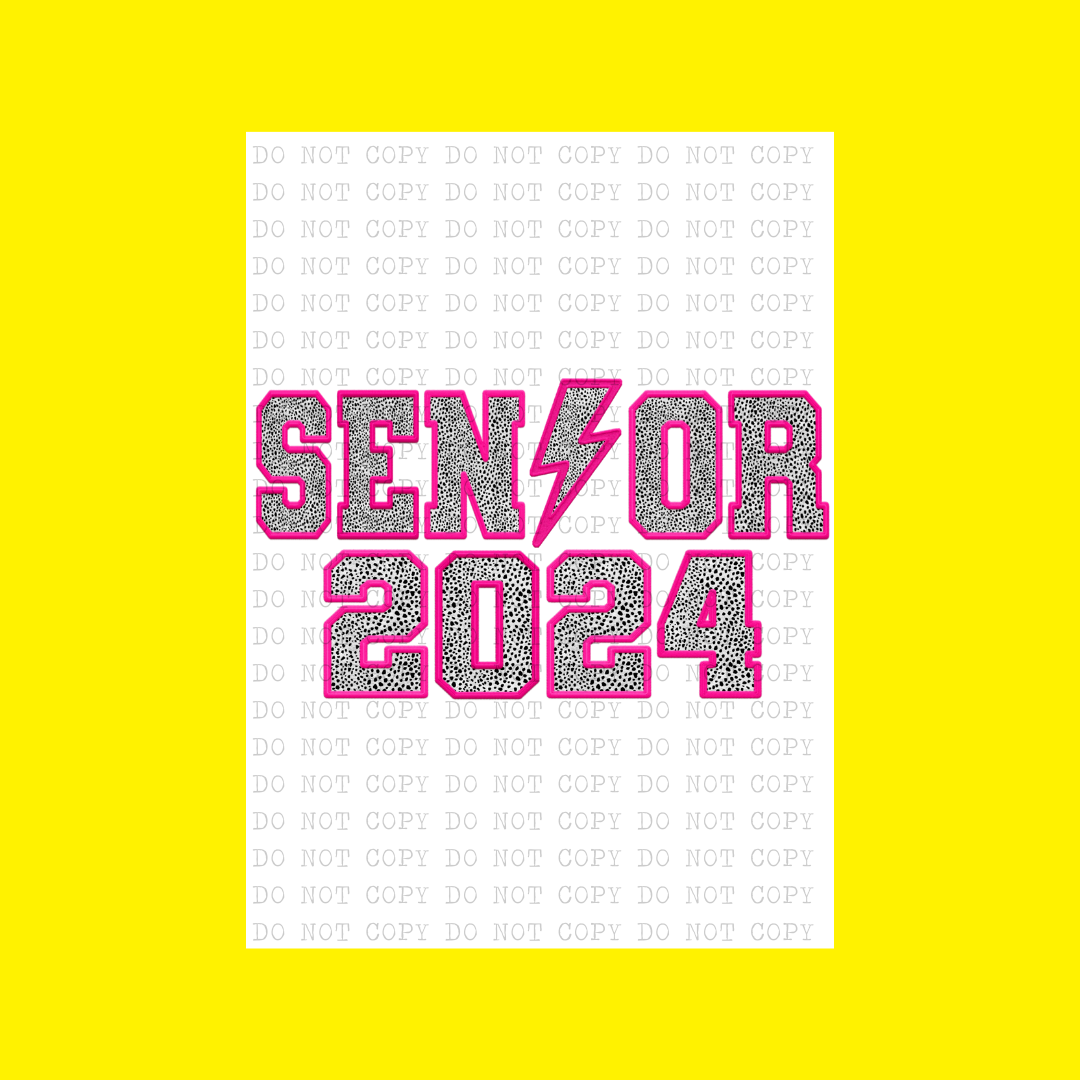 Senior 2024 Vibes Faux Embroidery | DTF Transfer (Copy)